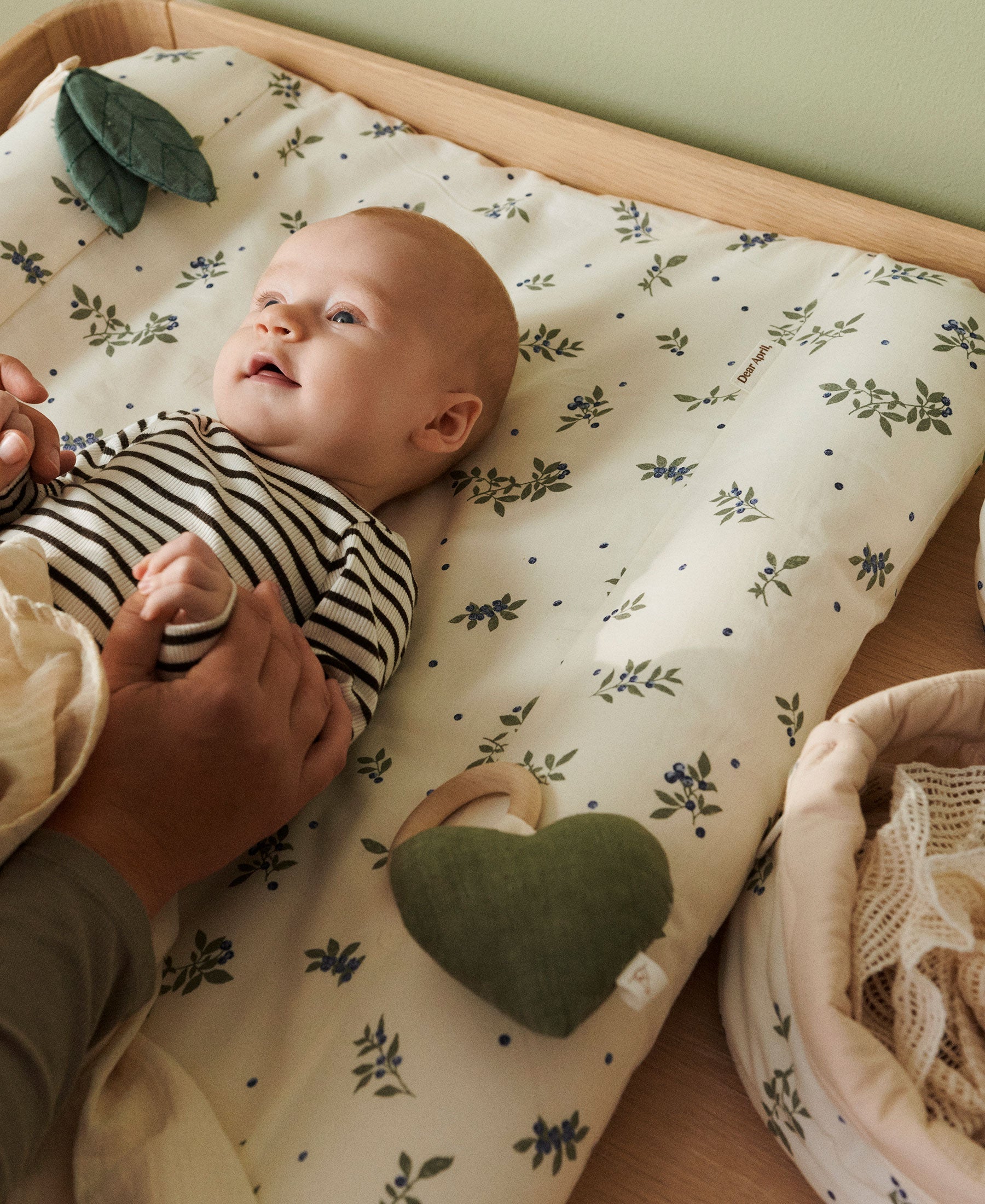 Dove puslepude, Blueberries