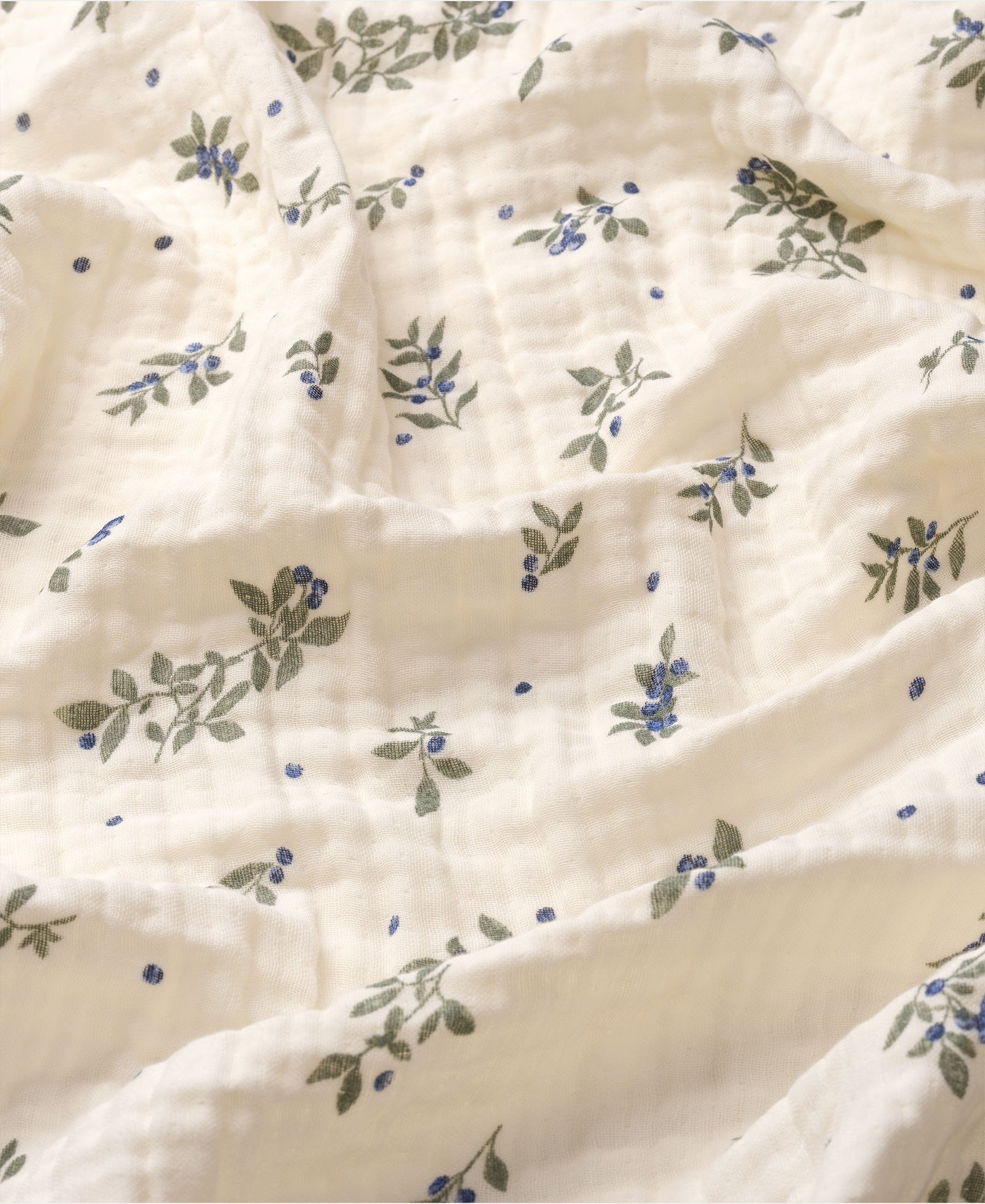 Murray babysvøb, Blueberries