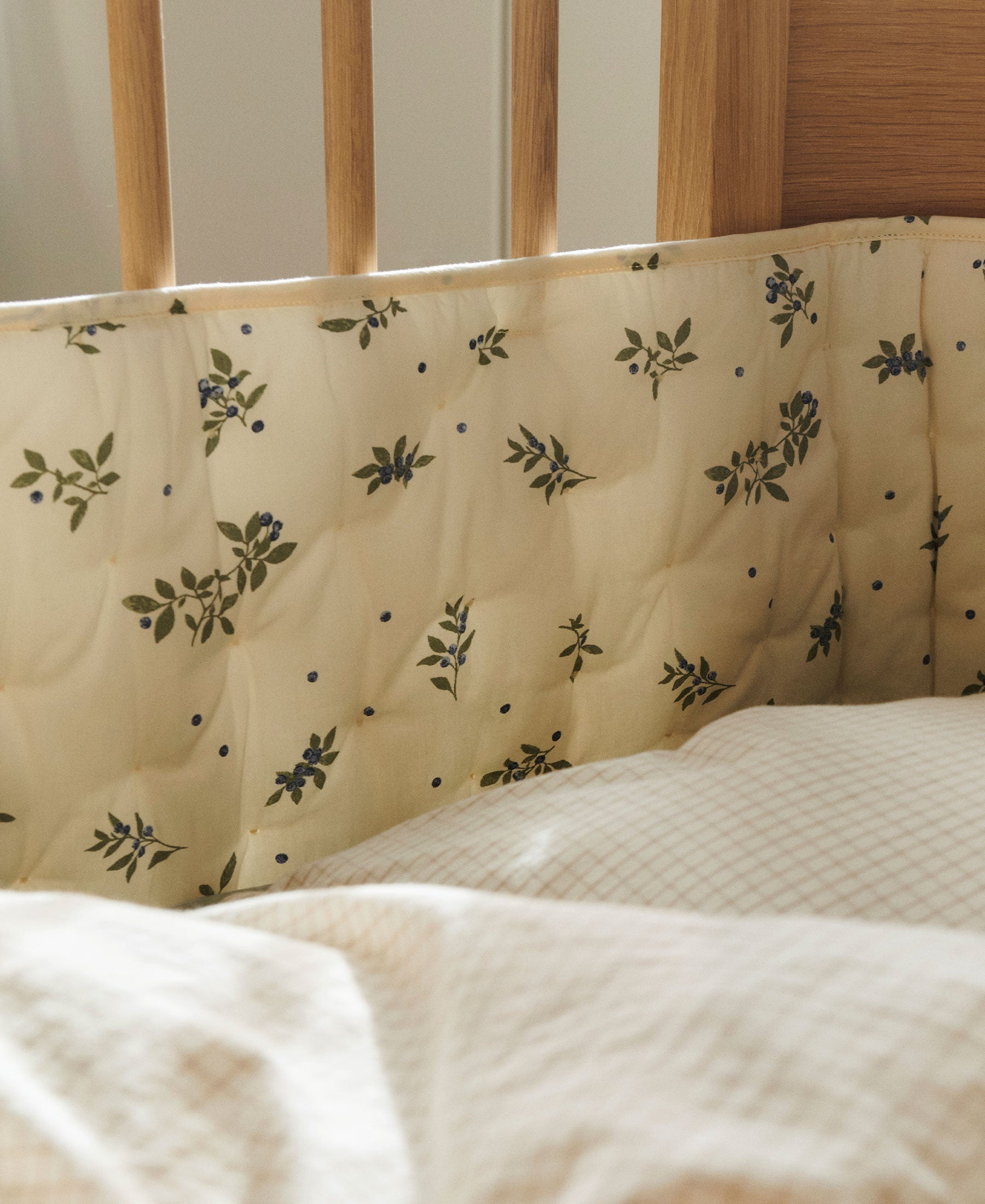 Nori sengerand, Blueberries